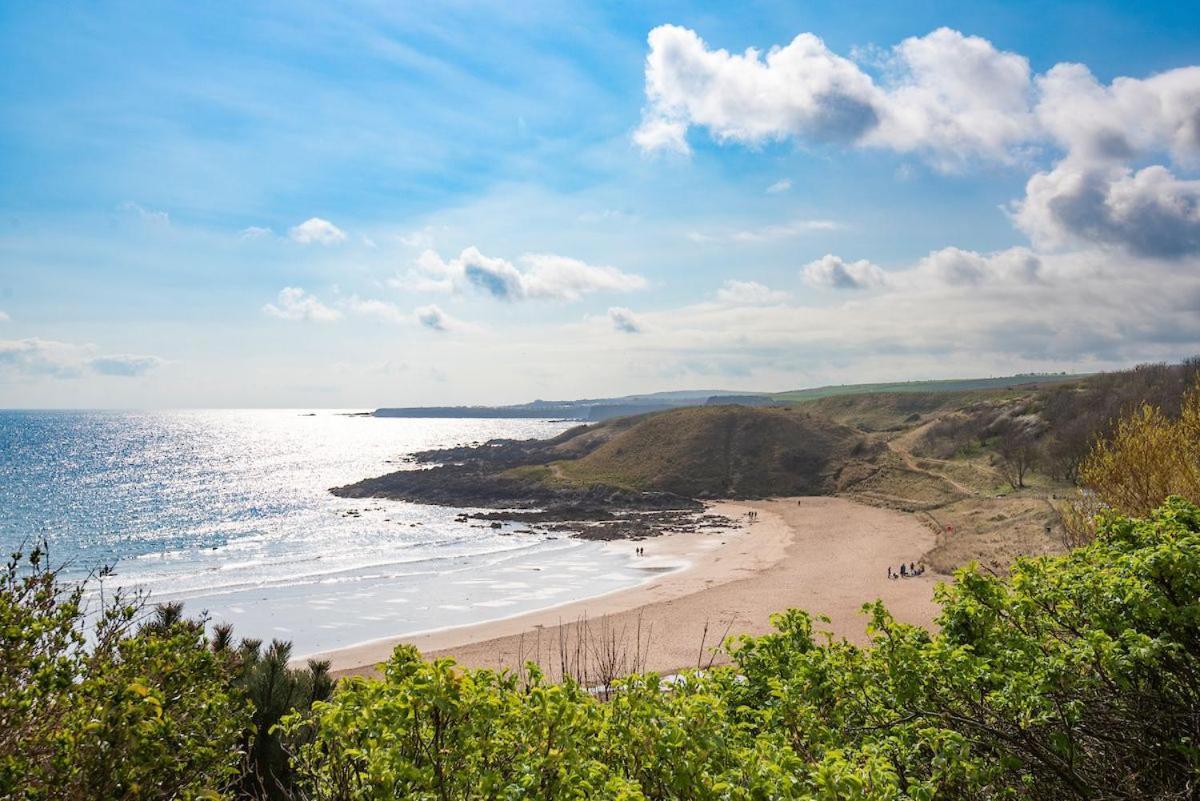 Coldingham 7 The Bayヴィラ エクステリア 写真